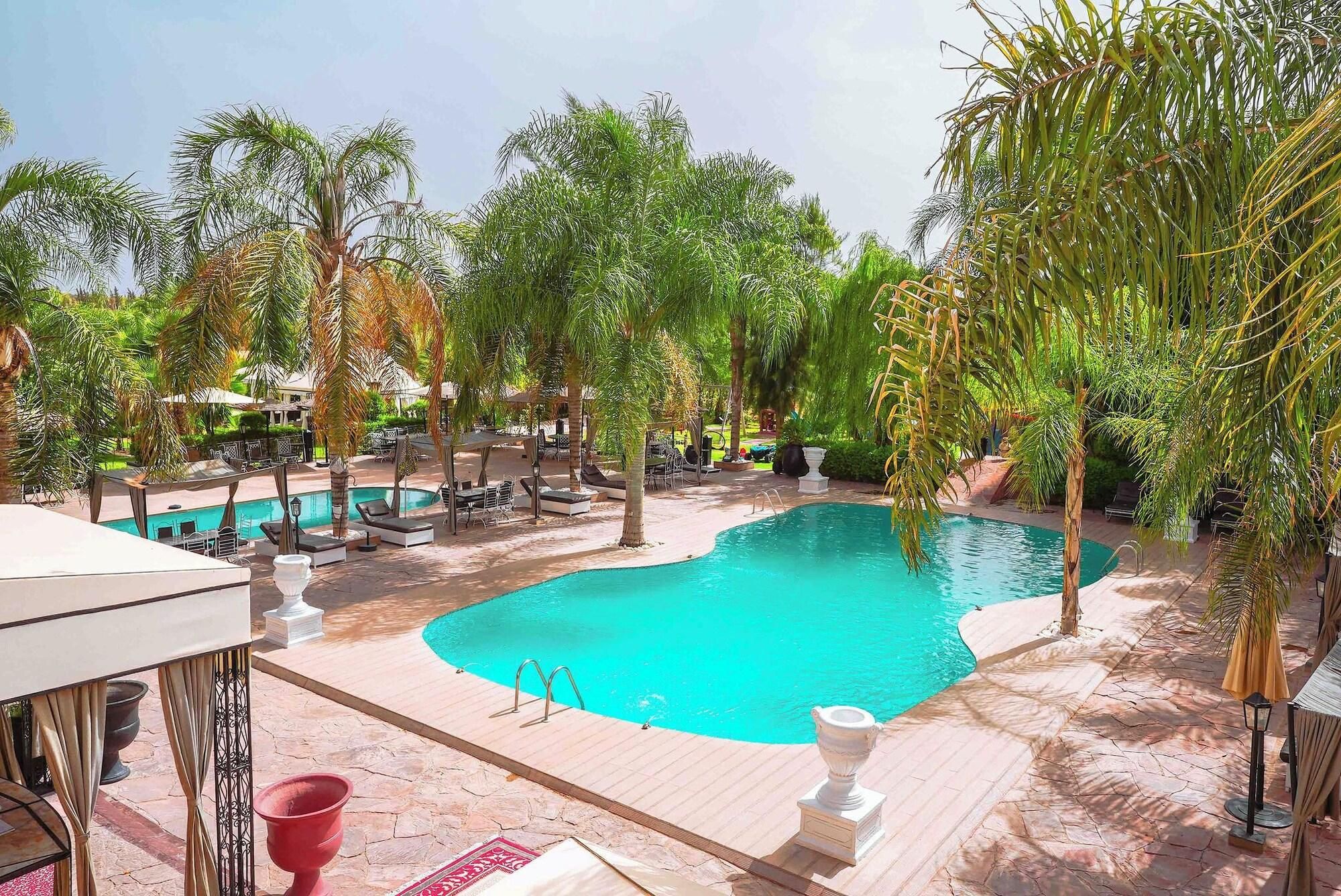 A pool area with lounge chairs, a small pool, and surrounding palm trees.