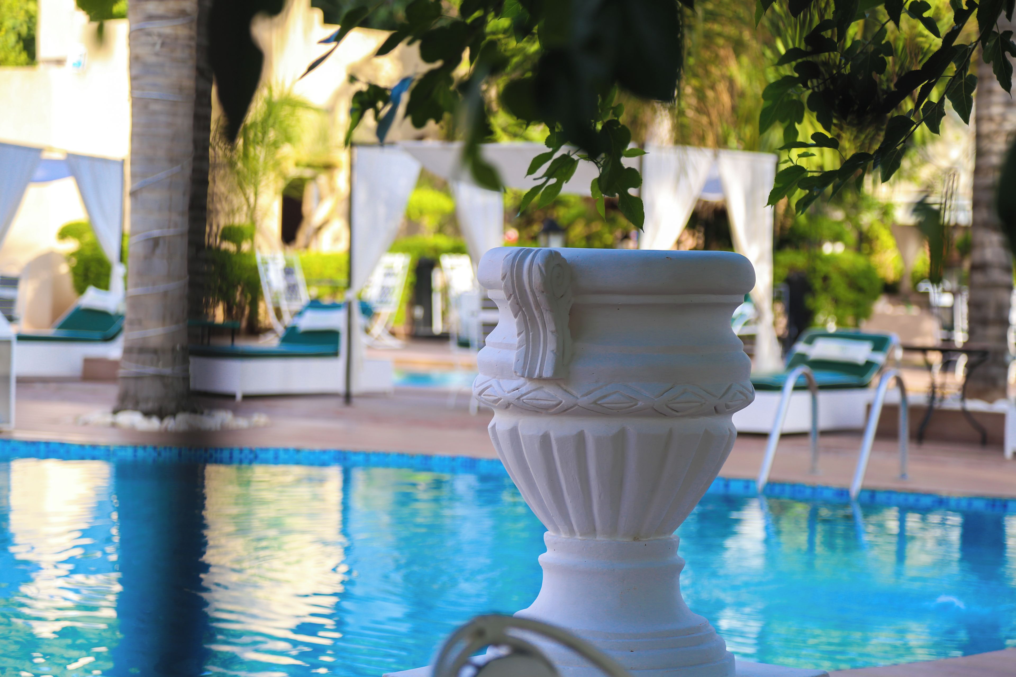 A pool area with a white decorative urn, lounge chairs, and palm trees.