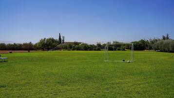 A soccer field with a goalpost and a sprinkler system.