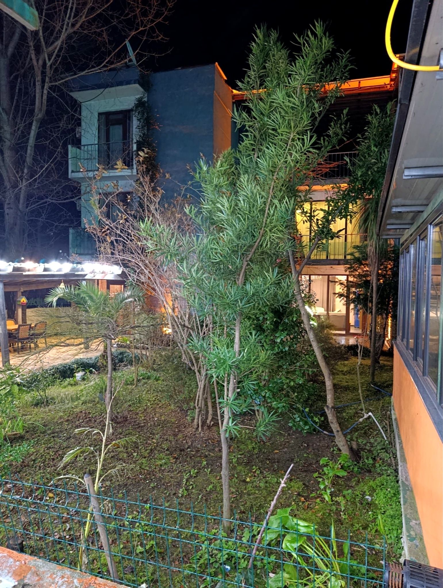 Un cortile con un piccolo albero, una recinzione e un edificio con ampie finestre.