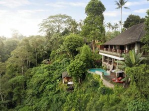 View from property - Leona Valley View Ubud (Ubud)
