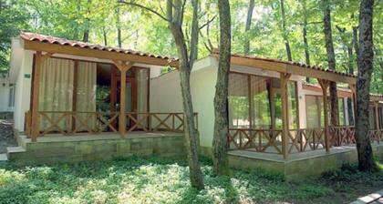 Villas Holidays