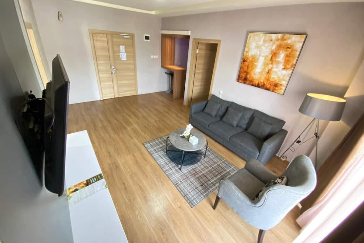 Un salón amplio con un sofá gris, una mesita de centro redonda y un sillón gris. Hay un televisor a la izquierda y un cuadro en la pared.