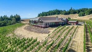A vineyard with rows of grapevines, a large house with a porch, and a clear blue sky. - The View House at Bryn Mawr Vineyards (Salem)