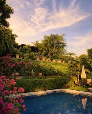 Immagine non classificata, 3 di 29, pulsante