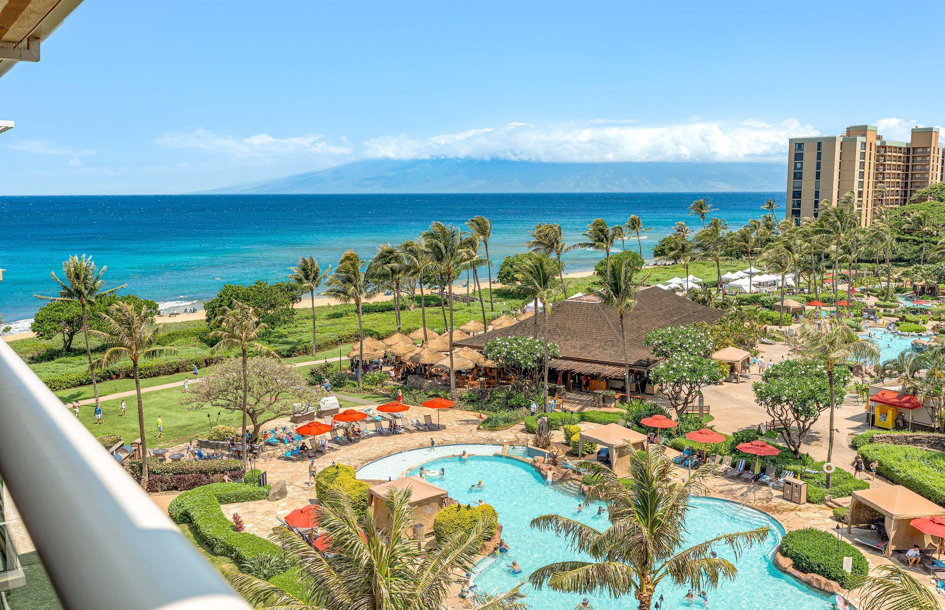Un resort con area piscina, palme e vista sull'oceano.
