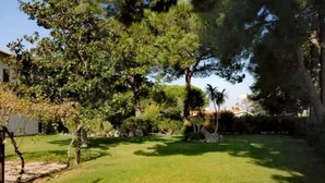 A well-maintained grassy yard with mature trees and a clear sky. - 6 bedroom nice home in Orbetello (Orbetello)