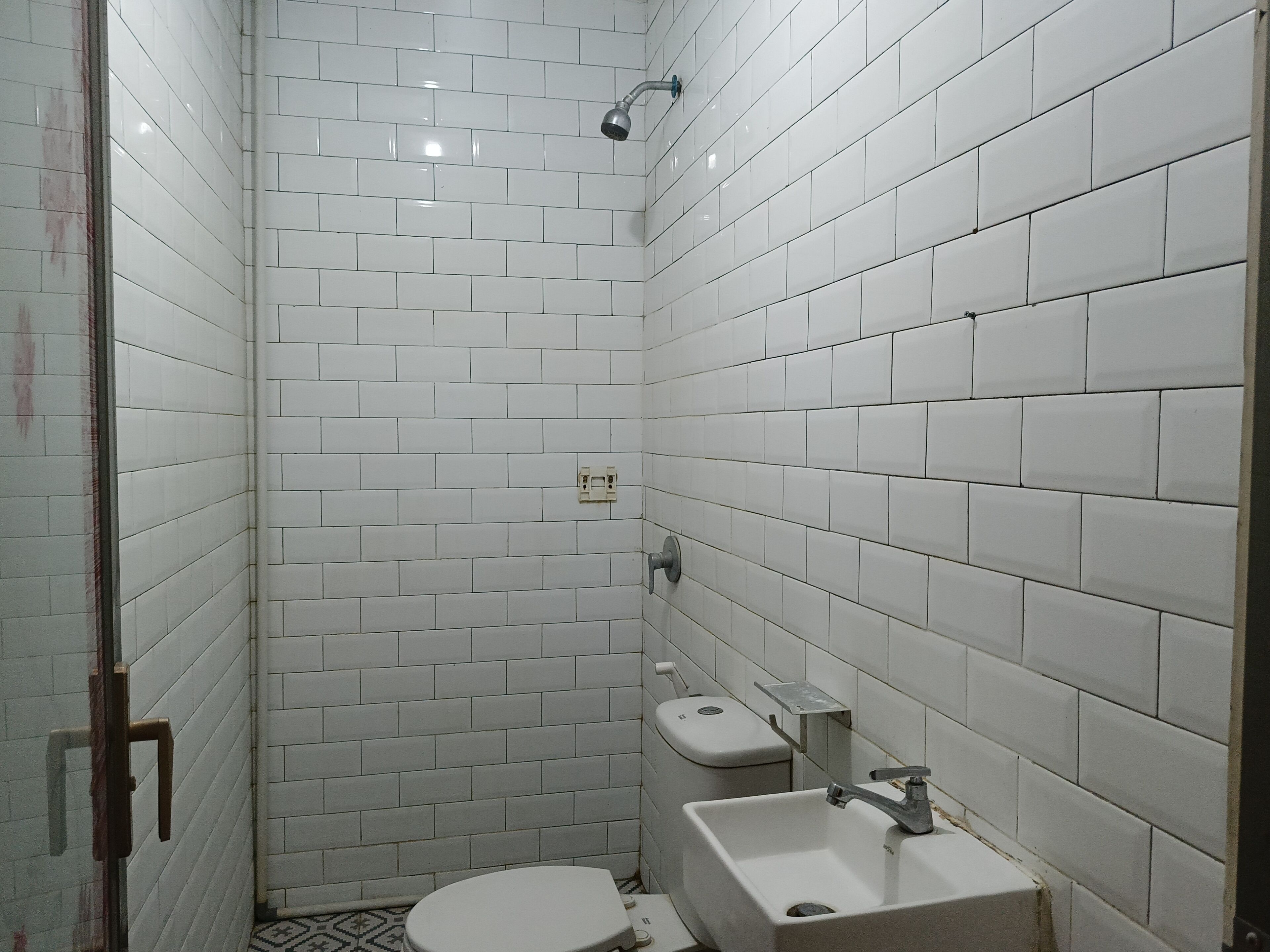 Shower, bidet, towels, soap