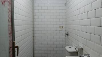 Shower, bidet, towels, soap