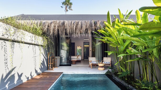 Un espace piscine agrémenté d’une terrasse en bois, de chaises longues et de plantes tropicales.