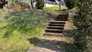 Un escalier en pierre mène à une maison dotée d’un toit végétalisé et d’une terrasse en bois.