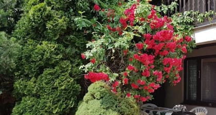 mit Wasserblick by Interhome