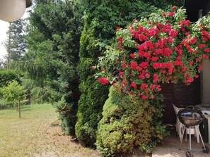 Imagen sin descripción, 5 de 21, botón