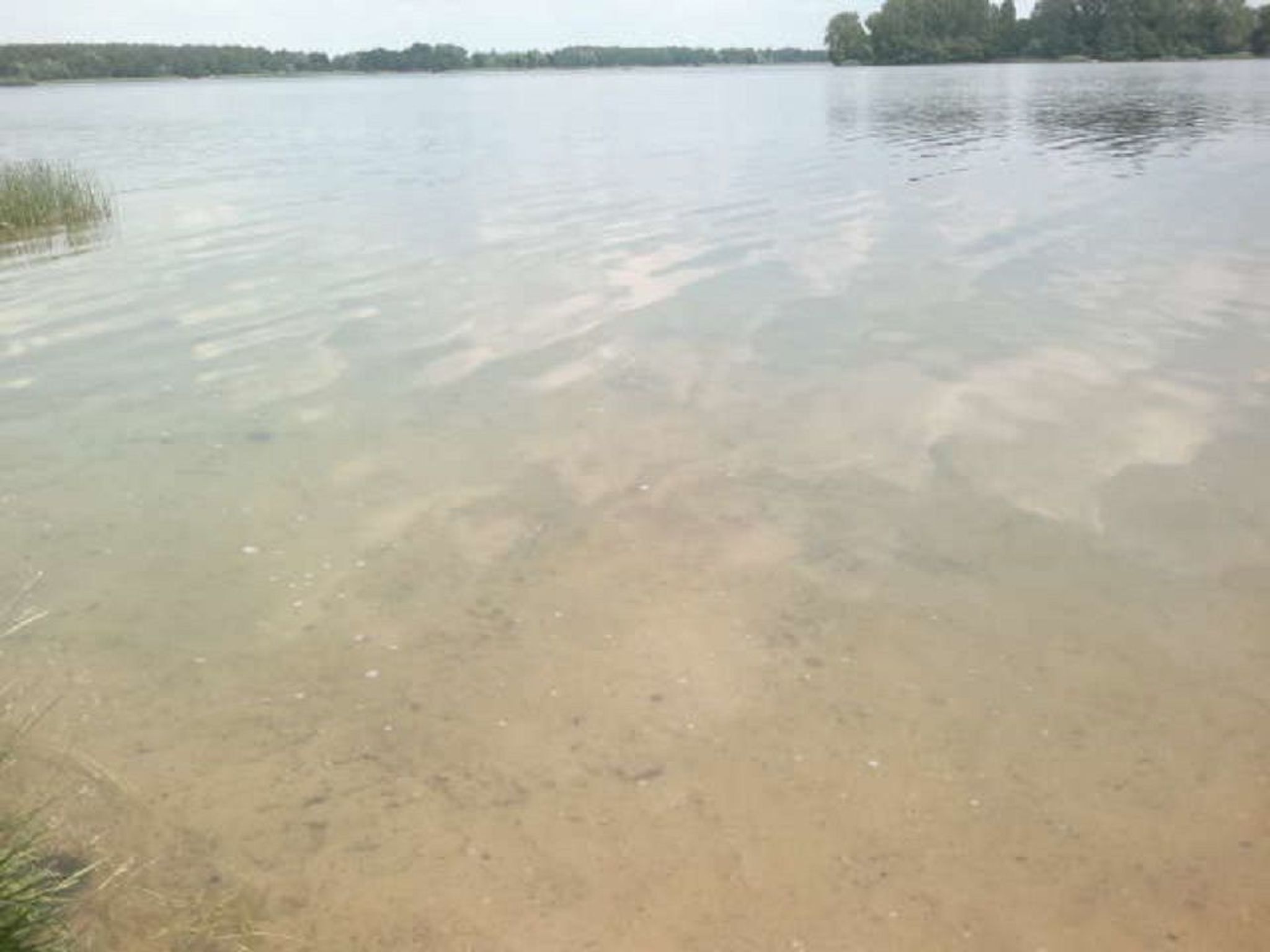 A calm lake with clear water and a sandy shore.