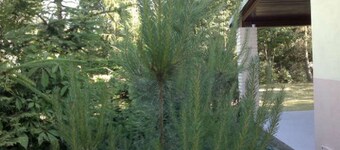 mit eingezäuntem Grundstück am Wasser by Interhome