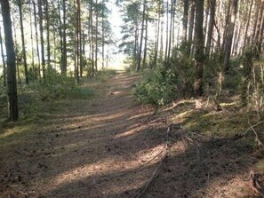 Imagen sin descripción, 2 de 23, botón