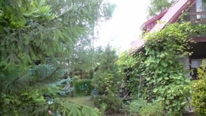 Ett hus omgivet av tät grönska, inklusive stora träd och buskar.