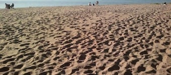 Freistehendes Haus mit eingezäuntem Grundstück an einer Lagune by Interhome