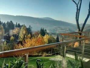 Uitzicht vanaf een balkon met houten spijlen, op een bergachtig landschap met bomen en een heldere lucht.