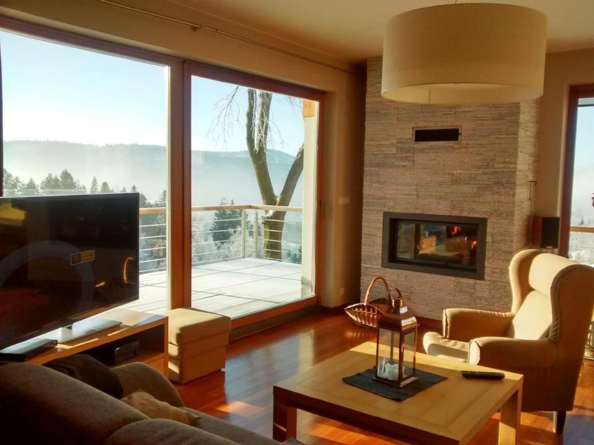 Télévision, cheminée, lecteur de DVD