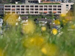 Exterior - Appartement Alpenblick / C3 by Interhome (Weggis)