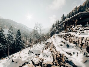Property grounds - Hohstalden by Interhome (Frutigen)