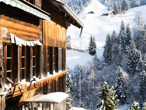 Property grounds - Hohstalden by Interhome (Frutigen)