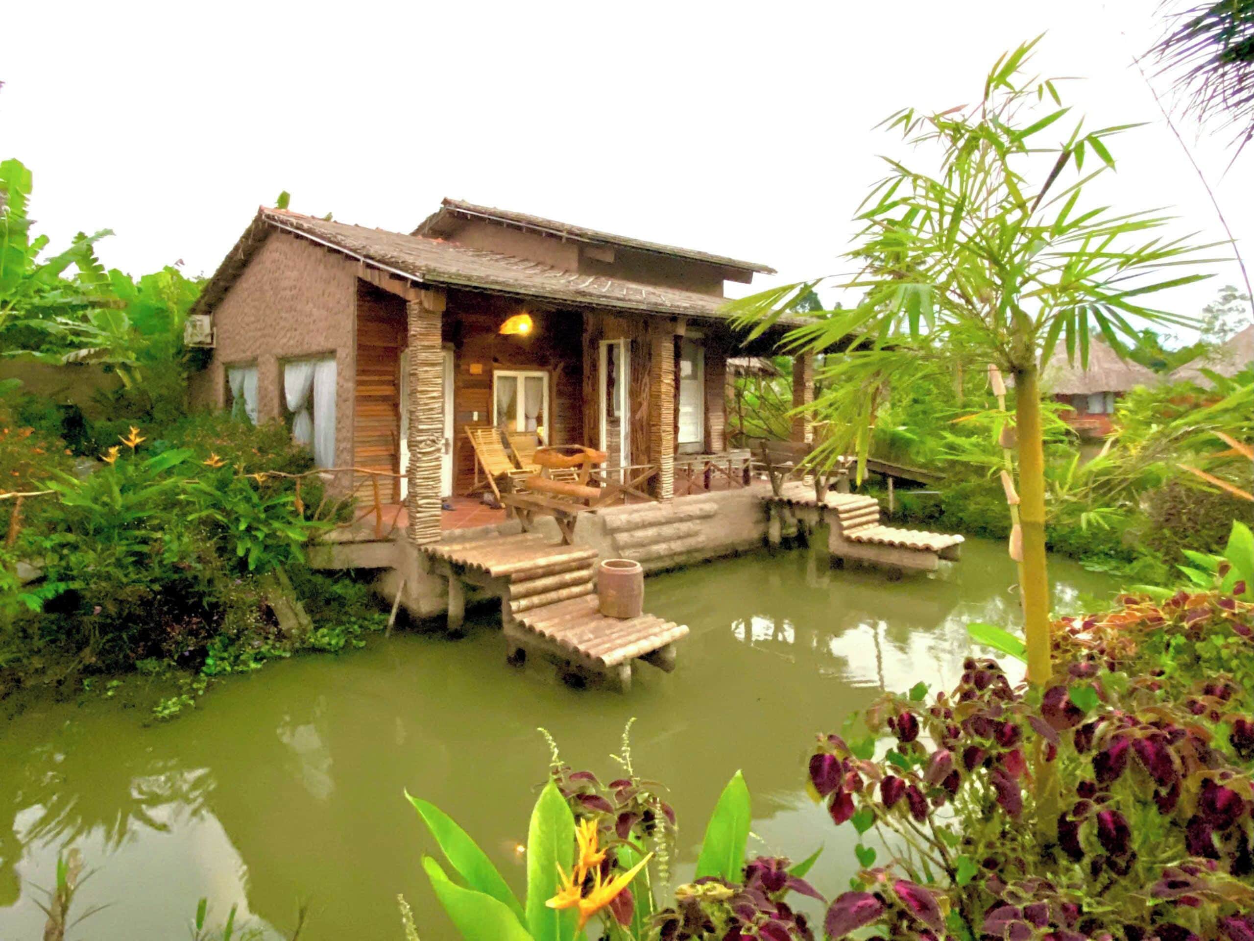 A rustic wooden house with a porch, a small pool, and lush greenery surrounding it.