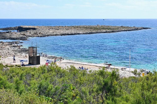 Camelia Seaview 1 Bd Apart In St Paul Bay
