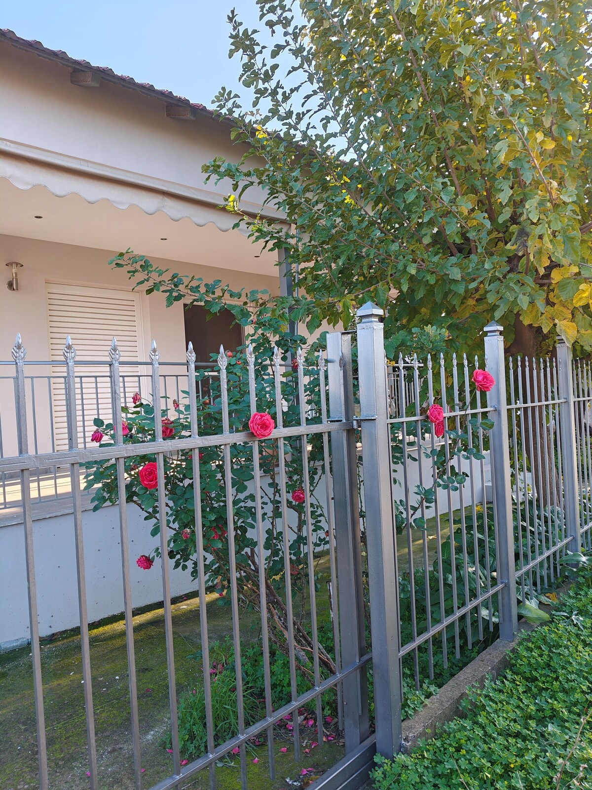 Imagen de perfil del propietario o de la propietaria