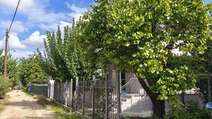 Zona residencial con una calle pavimentada, una cerca de metal y un árbol con hojas verdes.