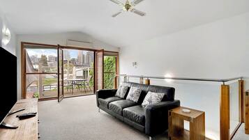 Smart TV, books, computer monitors