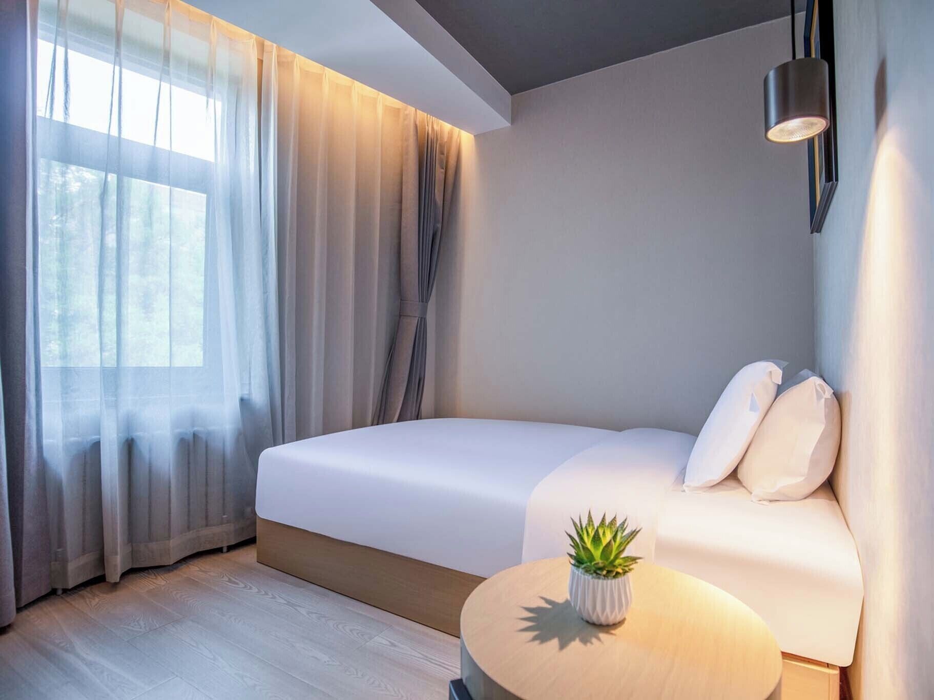 A modern bedroom with a large bed, a bedside table with a plant, and a window with sheer curtains.