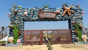 An entrance archway with a sign reading 'Aqua Mansarovar Water Park' surrounded by decorative seashells and starfish. - Mansarovar Villa (Pindra)