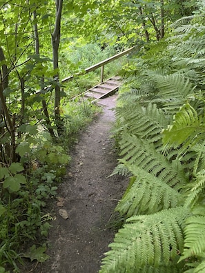 A forested path with a wooden bridge. - Cozy holiday home only 700 m from the water (Gilleleje)