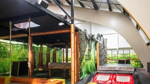 An indoor jungle-themed play area with climbing walls, a trampoline, and a wooden bench.