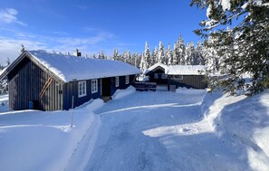 Exterior - 3 bedroom awesome home in Sjusjøen (Sjusjøen)