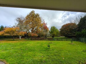 Property grounds - Greenhill Country Stay - Spa Pool，Fireplace，Private Pool & Easy Highway Access (Puketaha)