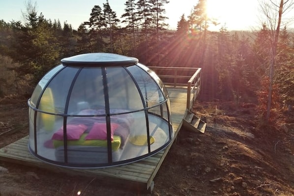 Uklassifisert bilde, 1 av 9, knapp