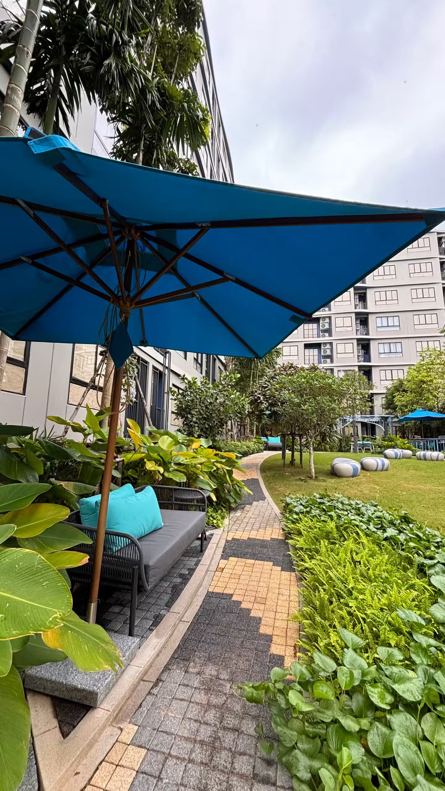 開放式客房, 泳池景觀 | 露台/庭院