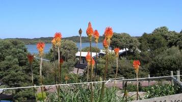 A fenced garden with tall ornamental plants and a view of a lake and houses in the background.