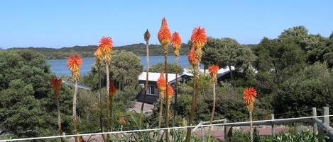 A fenced garden with tall ornamental plants and a view of a lake and houses in the background.