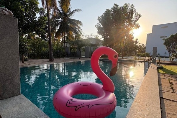 Piscine