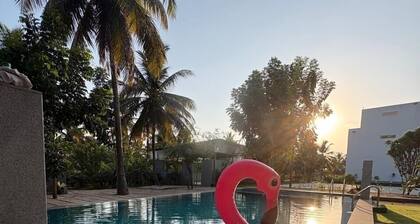 Just 18km from Bangalore,Aari farms where nature meets comfort,with pool,etc