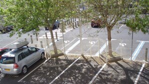 Zona d'aparcament amb espais delimitats i arbres.