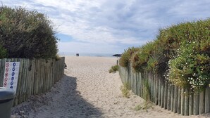 Un camí de sorra vora la mar, delimitat per tanques de fusta i vegetació.