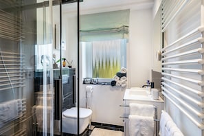 Shower, hair dryer, towels