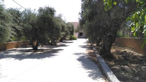 Property grounds - Angellinas Appartments (Daratsos)