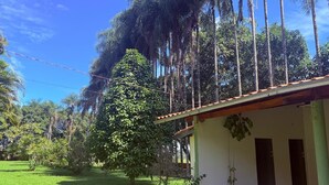 Ein Haus mit einem grünen Dach, einer kleinen Veranda und einem Garten mit Gras und Bäumen.