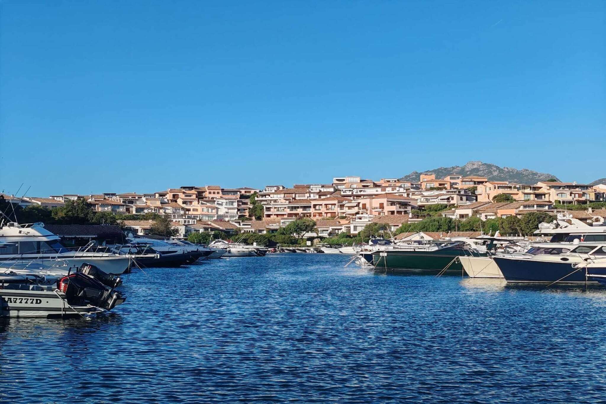 Region [summer] (>5 km)